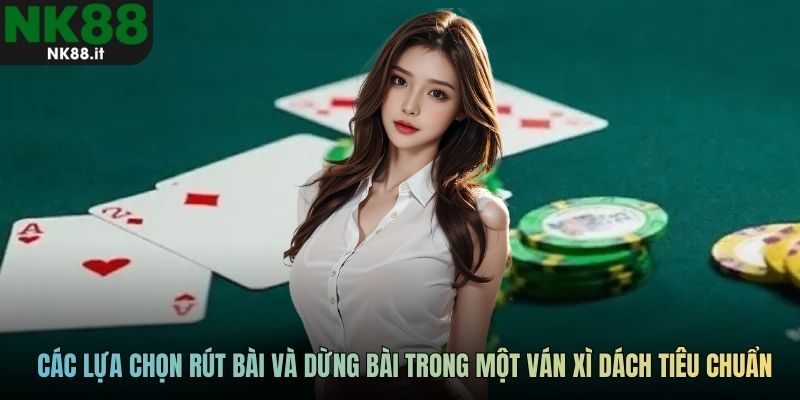 Các lựa chọn rút bài và dừng bài trong một ván xì dách tiêu chuẩn