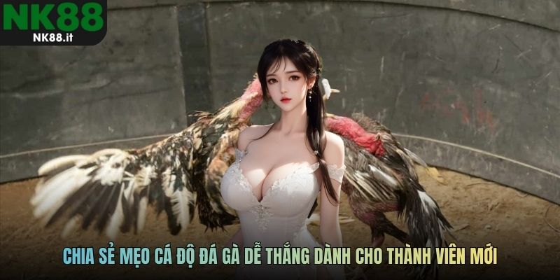 Chia sẻ mẹo cá độ đá gà dễ thắng dành cho thành viên mới