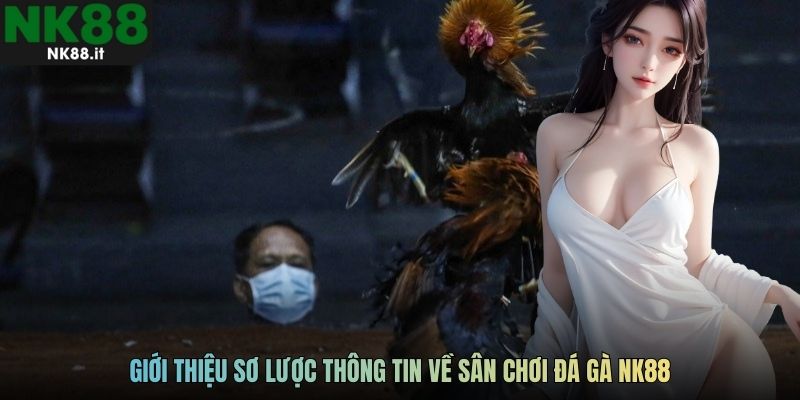 Giới thiệu sơ lược thông tin về sân chơi đá gà NK88